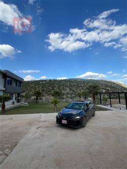 تۆیۆتا ئەڤەلۆن